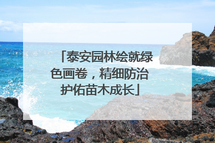 泰安园林绘就绿色画卷，精细防治护佑苗木成长