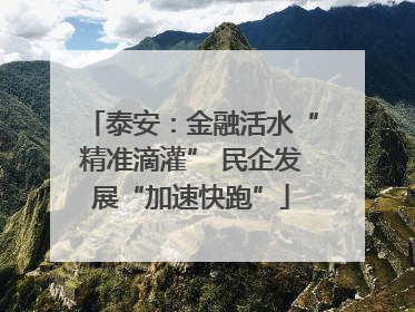 泰安：金融活水“精准滴灌” 民企发展“加速快跑”