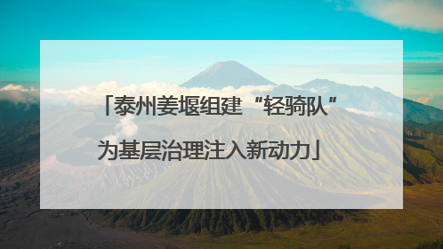 泰州姜堰组建“轻骑队”为基层治理注入新动力
