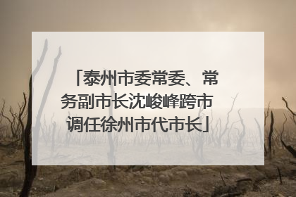 泰州市委常委、常务副市长沈峻峰跨市调任徐州市代市长