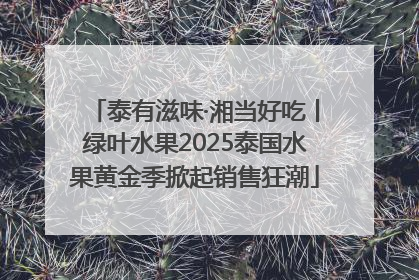 泰有滋味·湘当好吃丨绿叶水果2025泰国水果黄金季掀起销售狂潮