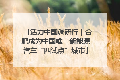 活力中国调研行｜合肥成为中国唯一新能源汽车“四试点”城市