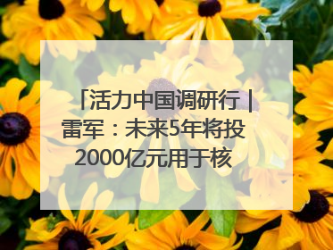 活力中国调研行｜雷军：未来5年将投2000亿元用于核心技术研发