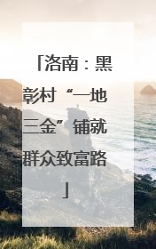 洛南：黑彰村“一地三金”铺就群众致富路