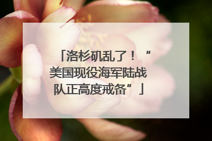 洛杉矶乱了！“美国现役海军陆战队正高度戒备”