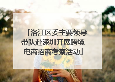 洛江区委主要领导带队赴深圳开展跨境电商招商考察活动