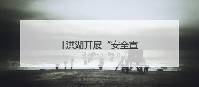 洪湖开展“安全宣传咨询日”活动