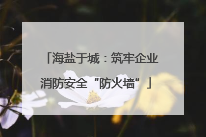 海盐于城：筑牢企业消防安全“防火墙”