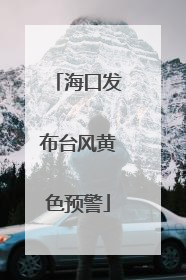 海口发布台风黄色预警
