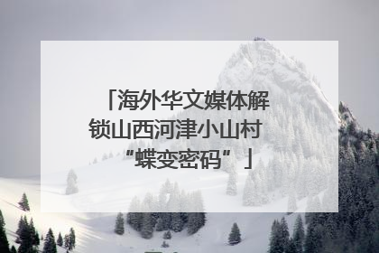 海外华文媒体解锁山西河津小山村“蝶变密码”