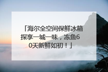 海尔全空间保鲜冰箱探享一城一味，冻鱼60天新鲜如初！