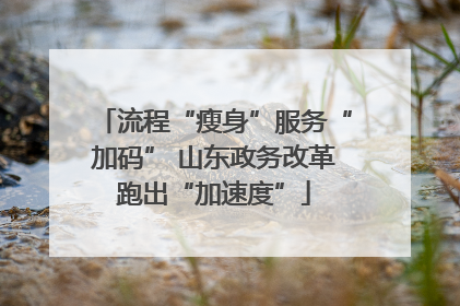 流程“瘦身”服务“加码” 山东政务改革跑出“加速度”