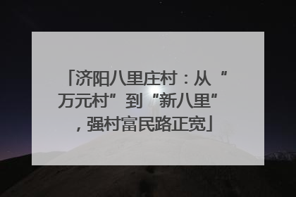 济阳八里庄村：从“万元村”到“新八里”，强村富民路正宽