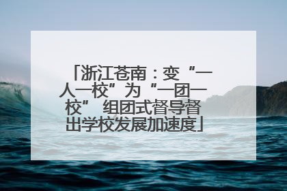 浙江苍南：变“一人一校”为“一团一校” 组团式督导督出学校发展加速度
