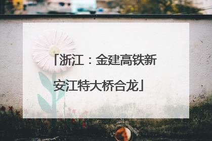 浙江：金建高铁新安江特大桥合龙