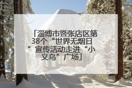 淄博市暨张店区第38个“世界无烟日”宣传活动走进“小义乌”广场