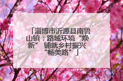 淄博市沂源县南鲁山镇：路域环境“焕新” 铺就乡村振兴“畅美路”