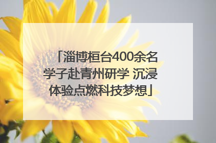 淄博桓台400余名学子赴青州研学 沉浸体验点燃科技梦想