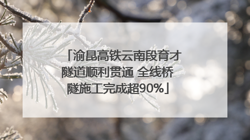 渝昆高铁云南段育才隧道顺利贯通 全线桥隧施工完成超90%