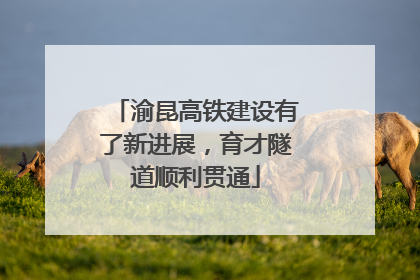 渝昆高铁建设有了新进展，育才隧道顺利贯通