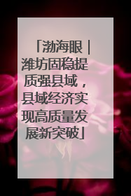 渤海眼｜潍坊固稳提质强县域，县域经济实现高质量发展新突破