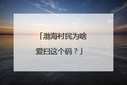 渤海村民为啥爱扫这个码？