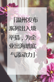 温州发布系列出入境举措，为企业出海增底气添动力