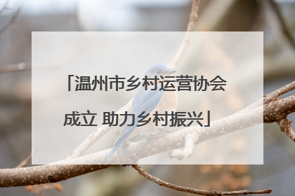 温州市乡村运营协会成立 助力乡村振兴