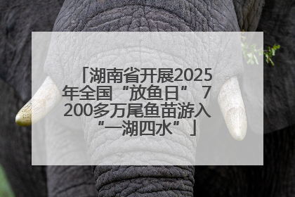 湖南省开展2025年全国“放鱼日” 7200多万尾鱼苗游入“一湖四水”