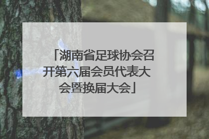 湖南省足球协会召开第六届会员代表大会暨换届大会
