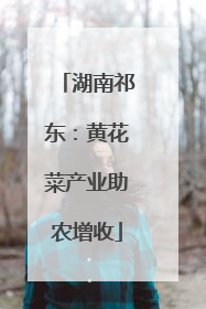 湖南祁东：黄花菜产业助农增收