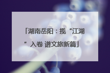 湖南岳阳：揽“江湖”入卷 谱文旅新篇