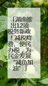 湖南推出12项税务新政！减税降费、便民办税，为民企发展“减负加油”