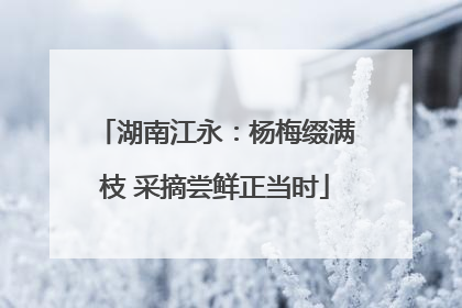 湖南江永：杨梅缀满枝 采摘尝鲜正当时
