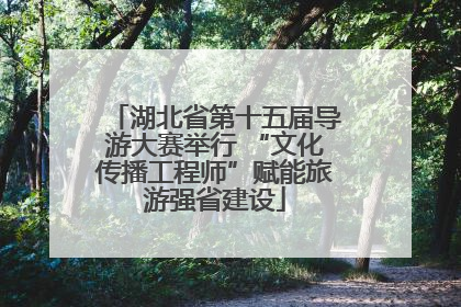 湖北省第十五届导游大赛举行 “文化传播工程师”赋能旅游强省建设