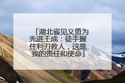 湖北省见义勇为先进王成：徒手握住利刃救人，这是我的责任和使命