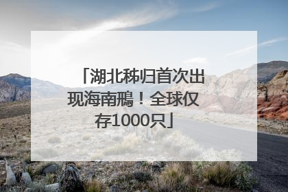 湖北秭归首次出现海南鳽！全球仅存1000只