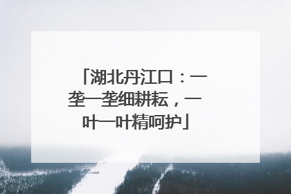 湖北丹江口：一垄一垄细耕耘，一叶一叶精呵护