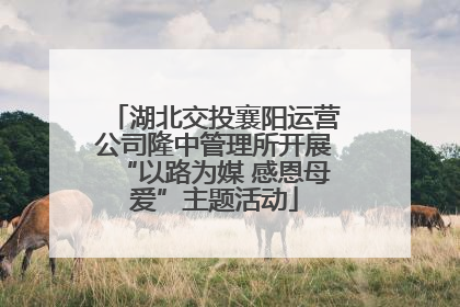 湖北交投襄阳运营公司隆中管理所开展“以路为媒 感恩母爱”主题活动