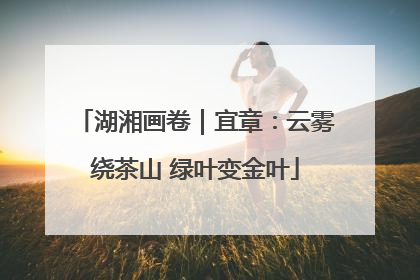 湖湘画卷｜宜章：云雾绕茶山 绿叶变金叶