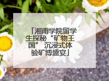 湘南学院留学生探秘“矿物王国” 沉浸式体验矿博盛宴