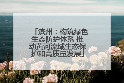 滨州：构筑绿色生态防护体系 推动黄河流域生态保护和高质量发展
