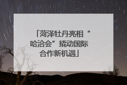 菏泽牡丹亮相“哈洽会”撬动国际合作新机遇