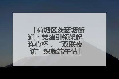 荷塘区茨菇塘街道：党建引领架起连心桥，“双联夜访”织就端午情