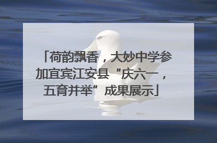 荷韵飘香，大妙中学参加宜宾江安县“庆六一，五育并举”成果展示