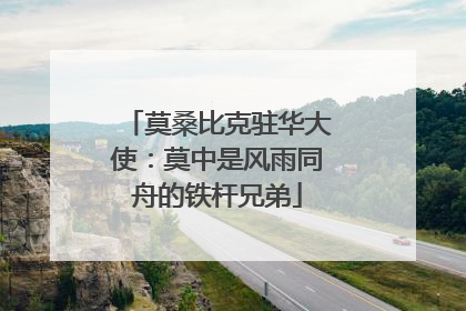 莫桑比克驻华大使：莫中是风雨同舟的铁杆兄弟