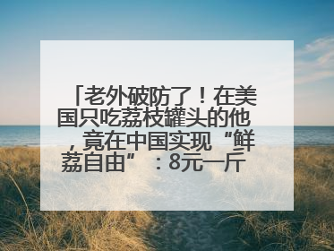 老外破防了！在美国只吃荔枝罐头的他，竟在中国实现“鲜荔自由”：8元一斤敞开吃！