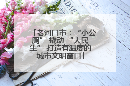 老河口市：“小公厕” 撬动 “大民生” 打造有温度的城市文明窗口