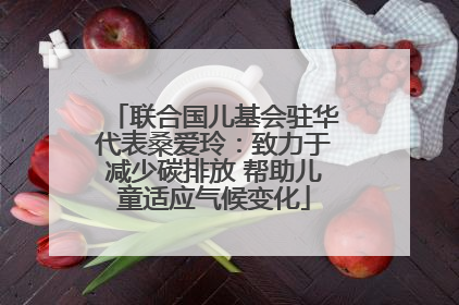 联合国儿基会驻华代表桑爱玲：致力于减少碳排放 帮助儿童适应气候变化