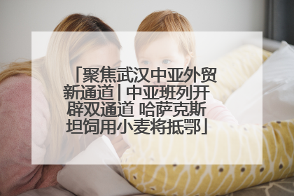 聚焦武汉中亚外贸新通道│中亚班列开辟双通道 哈萨克斯坦饲用小麦将抵鄂